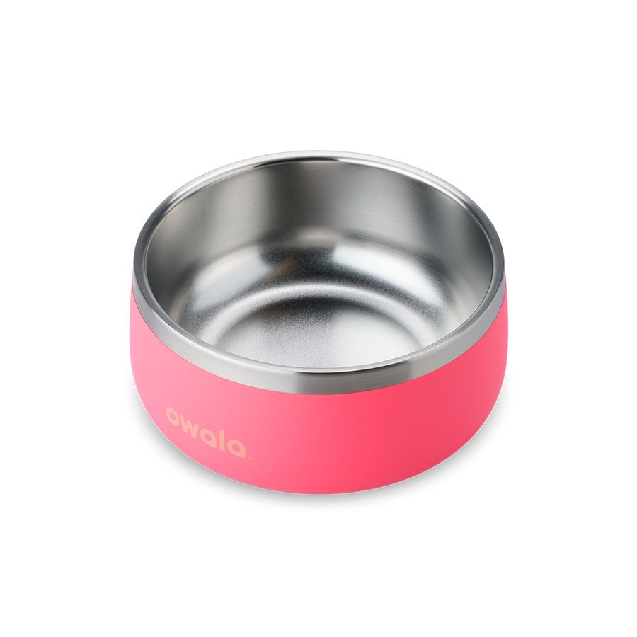 Owala 2 Pet Bowl Hyper Flamingo | CAT6392C