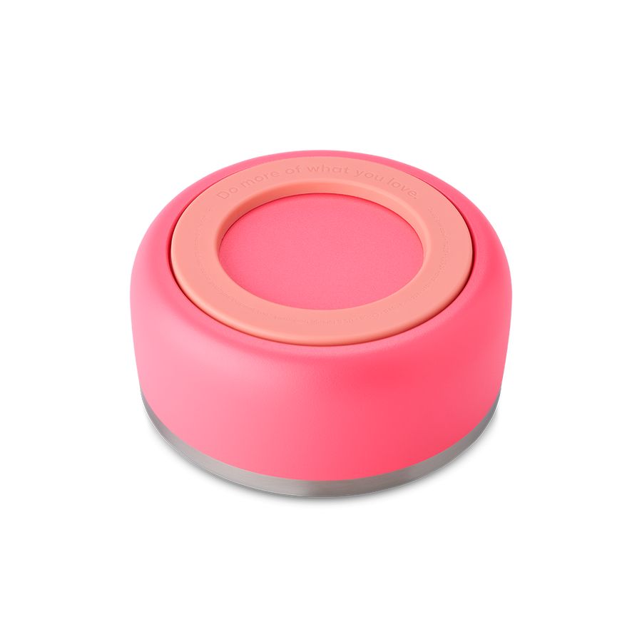 Owala 2 Pet Bowl Hyper Flamingo | CAT6392C