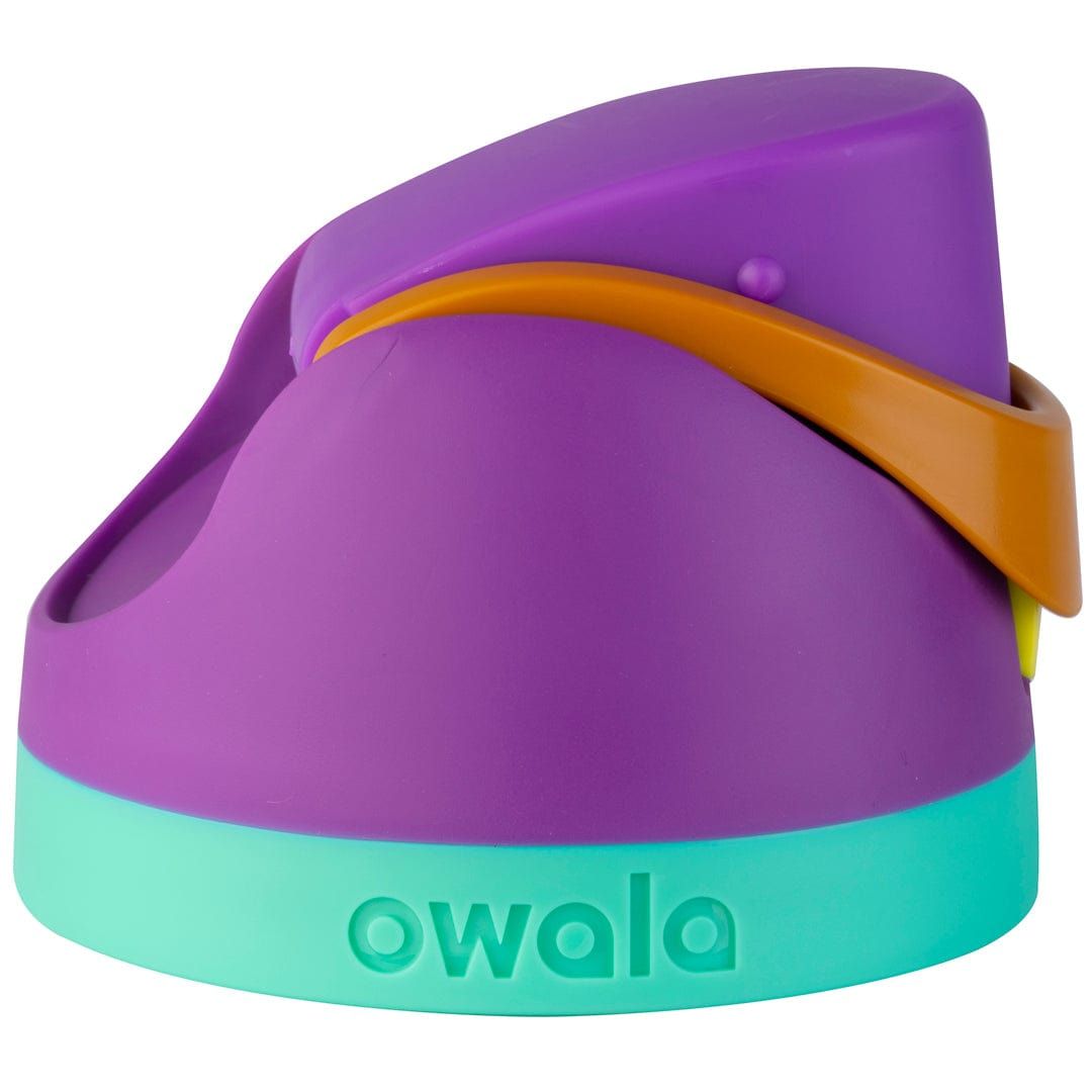 Owala 2 Replacement Lids Purple | CAG6434S