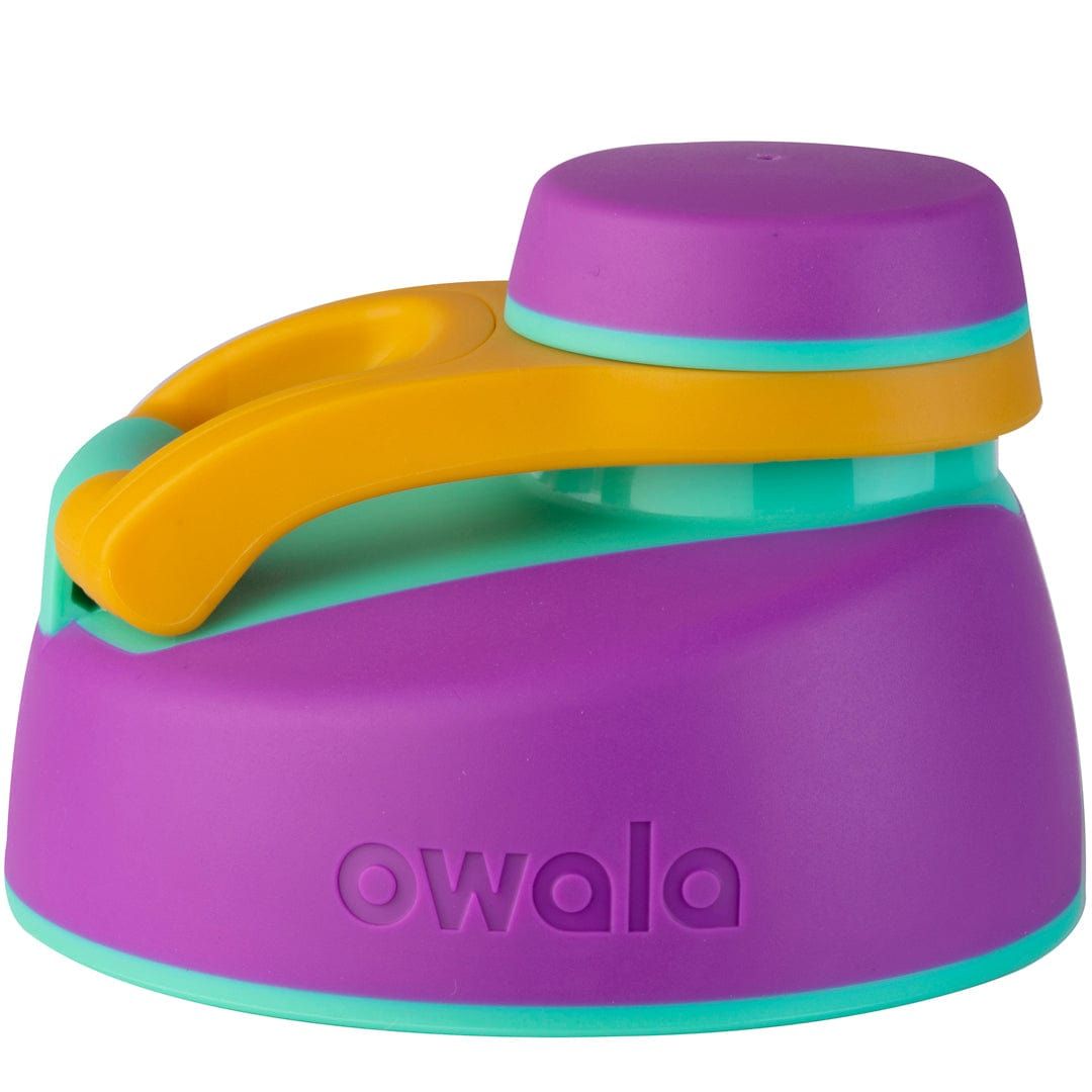 Owala 2 Replacement Lids Purple | CAG6434S