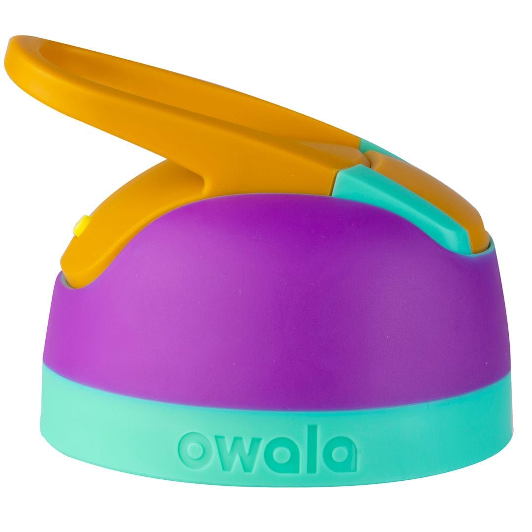 Owala 2 Replacement Lids Purple | CAG6434S