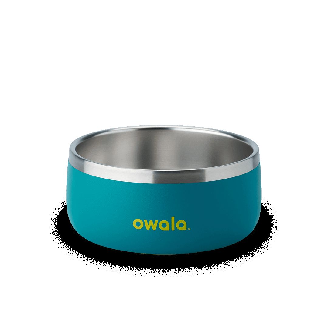 Owala 5 Pet Bowl Turquoise & Caicos | CAW6395N